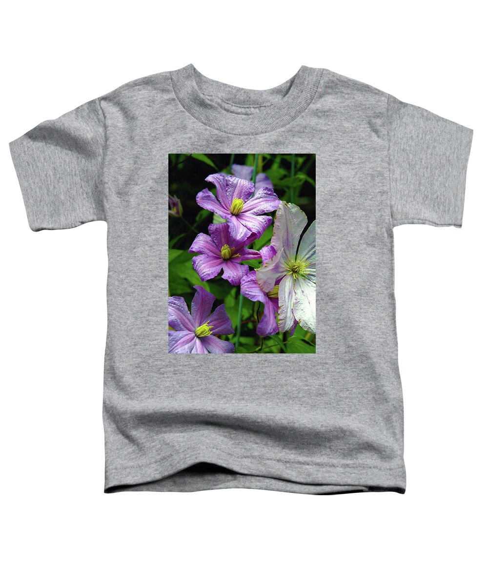 Clematis Toddler T-Shirt featuring the photograph Pink and white Clematis Flowers Photograph by Louis Dallara