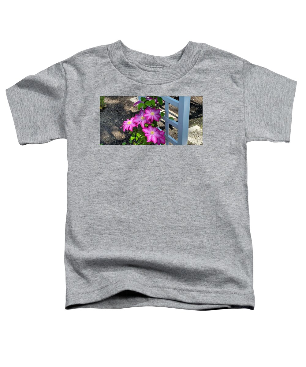 Clematis Flower Toddler T-Shirt featuring the photograph Pink Champagne Clematis by Stacie Siemsen