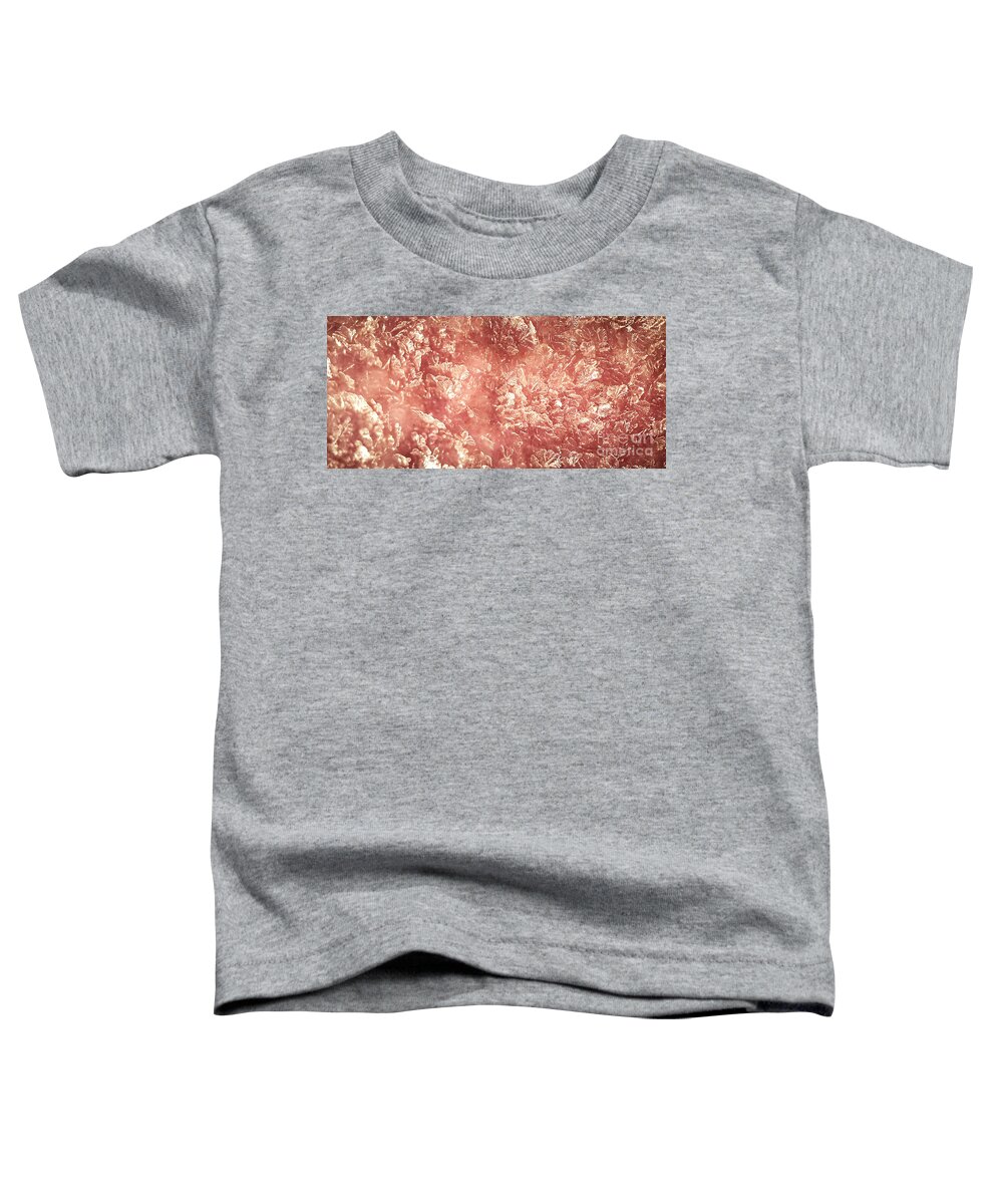 Frost Toddler T-Shirt featuring the photograph Pink Ice by Robert Knight