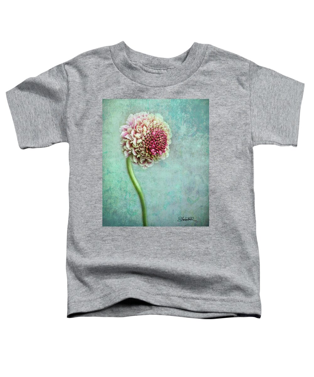 Flowers Toddler T-Shirt featuring the photograph Pink Pincushion by Shara Abel