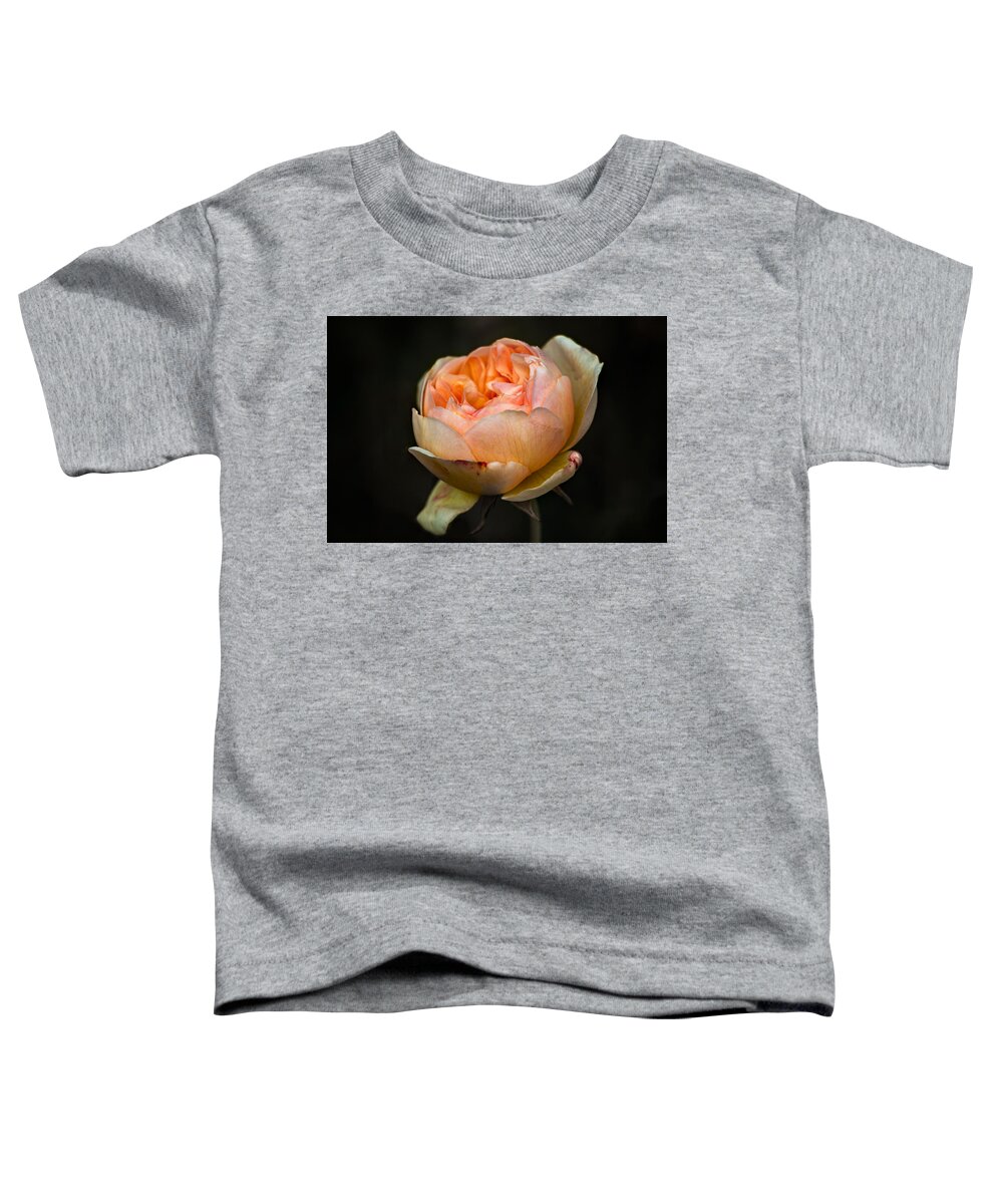 Pink Toddler T-Shirt featuring the photograph Pink Rose Portrait by Carrie Hannigan