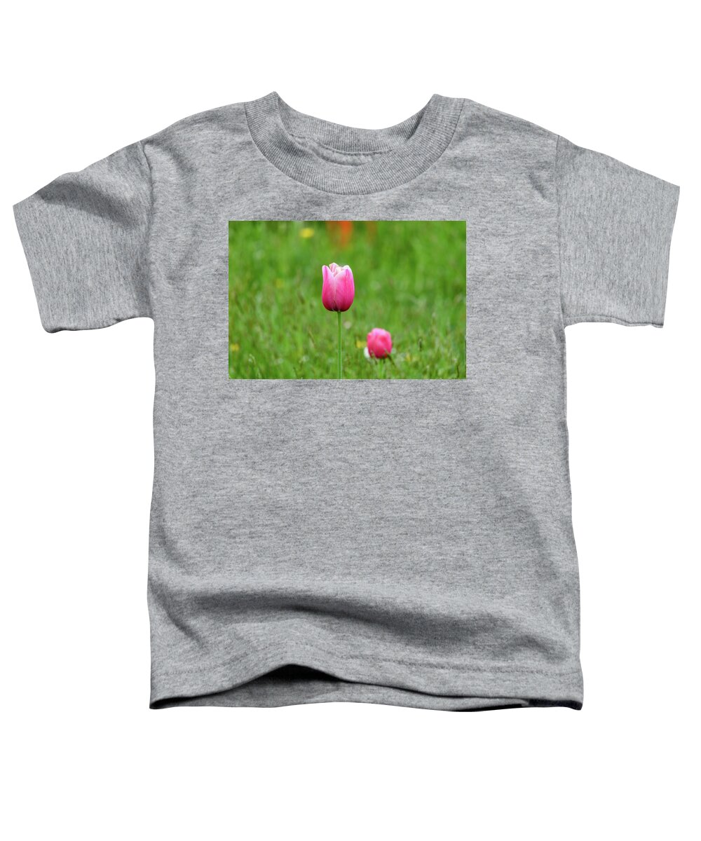 Tulip Toddler T-Shirt featuring the photograph Pink Tulip by Andrew Lalchan