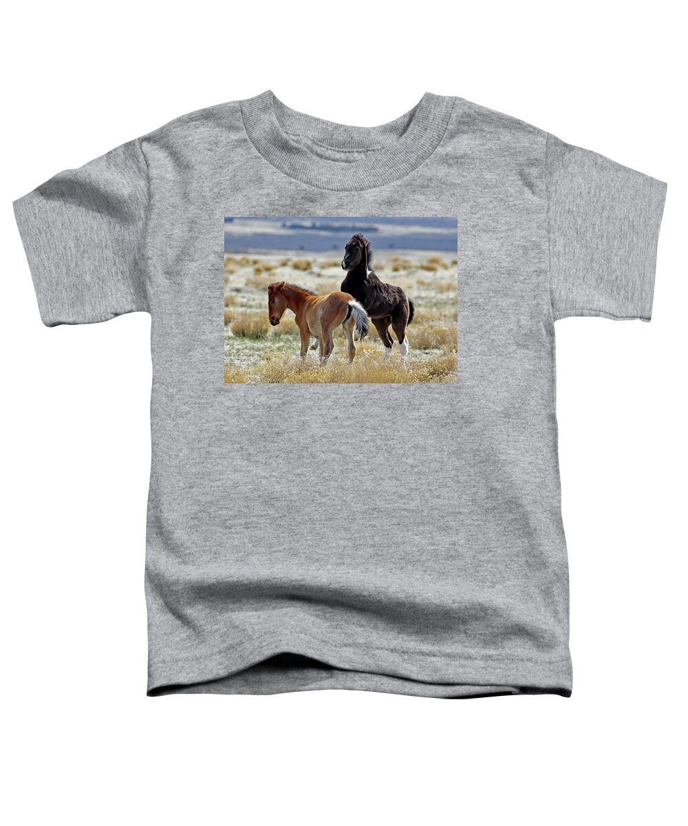 Utah Toddler T-Shirt featuring the photograph Playful Onaqui by Jennifer Robin