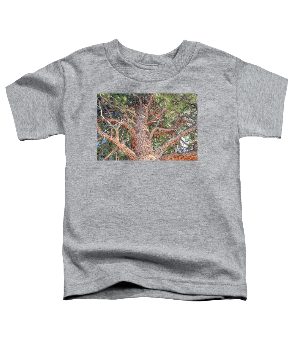 Ponderosa Pine Toddler T-Shirt featuring the photograph Ponderosa Pine Perspective by Marcy Wielfaert