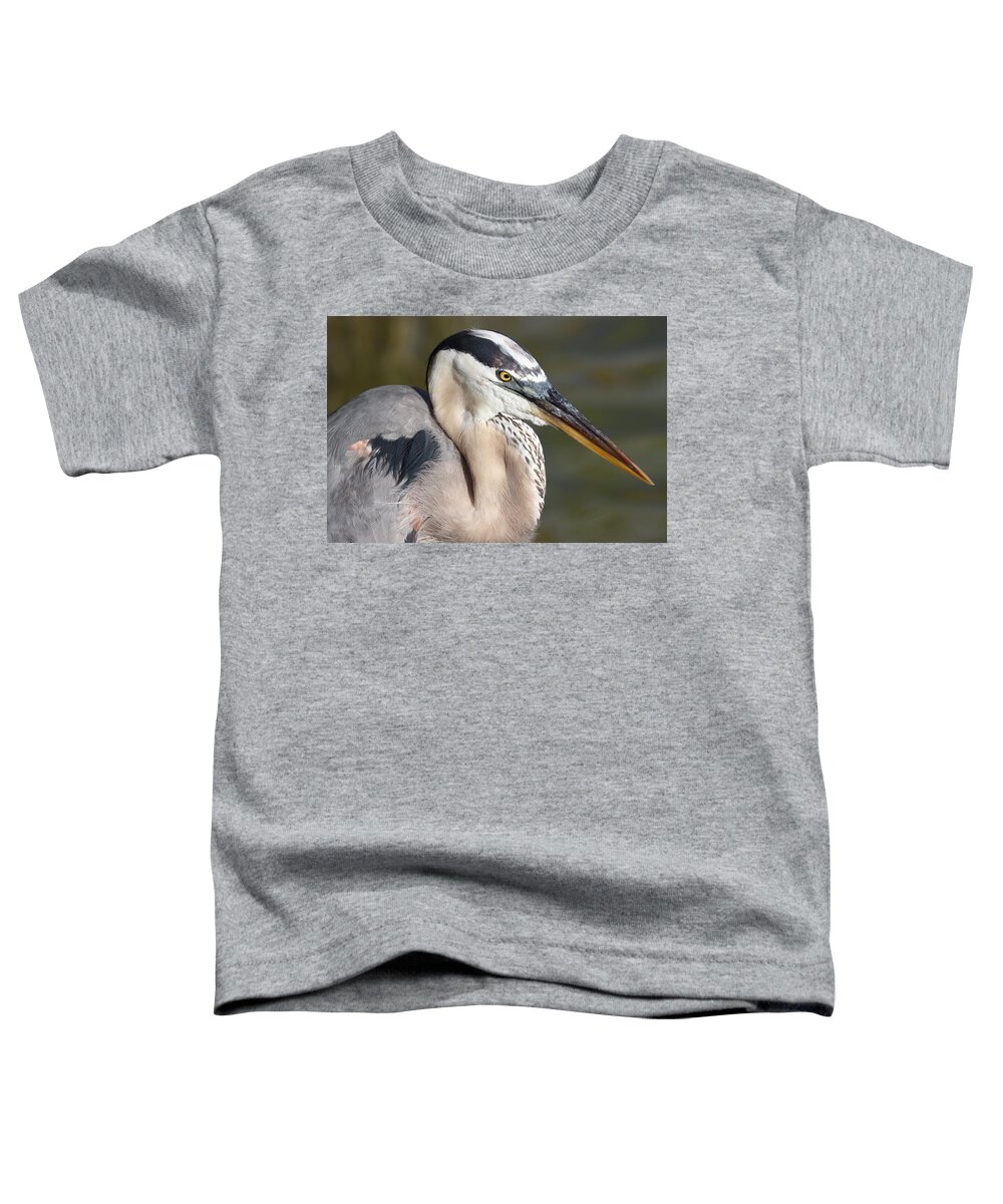 Blue Heron Toddler T-Shirt featuring the photograph Portrait of a Great Blue Heron by Mingming Jiang