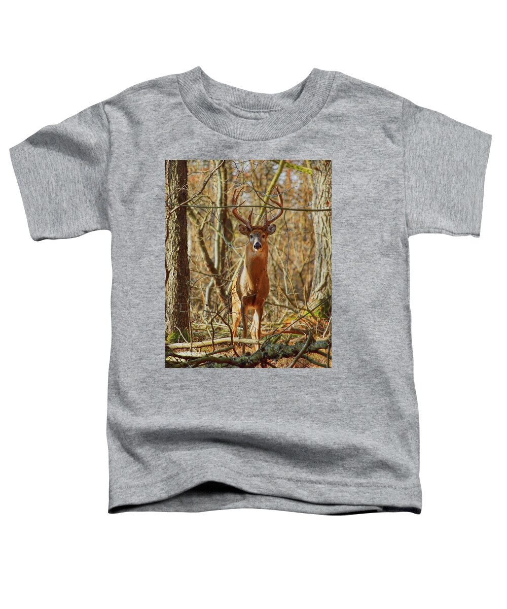 Wildlife Toddler T-Shirt featuring the photograph Prince Of The Forest by Dale Kauzlaric