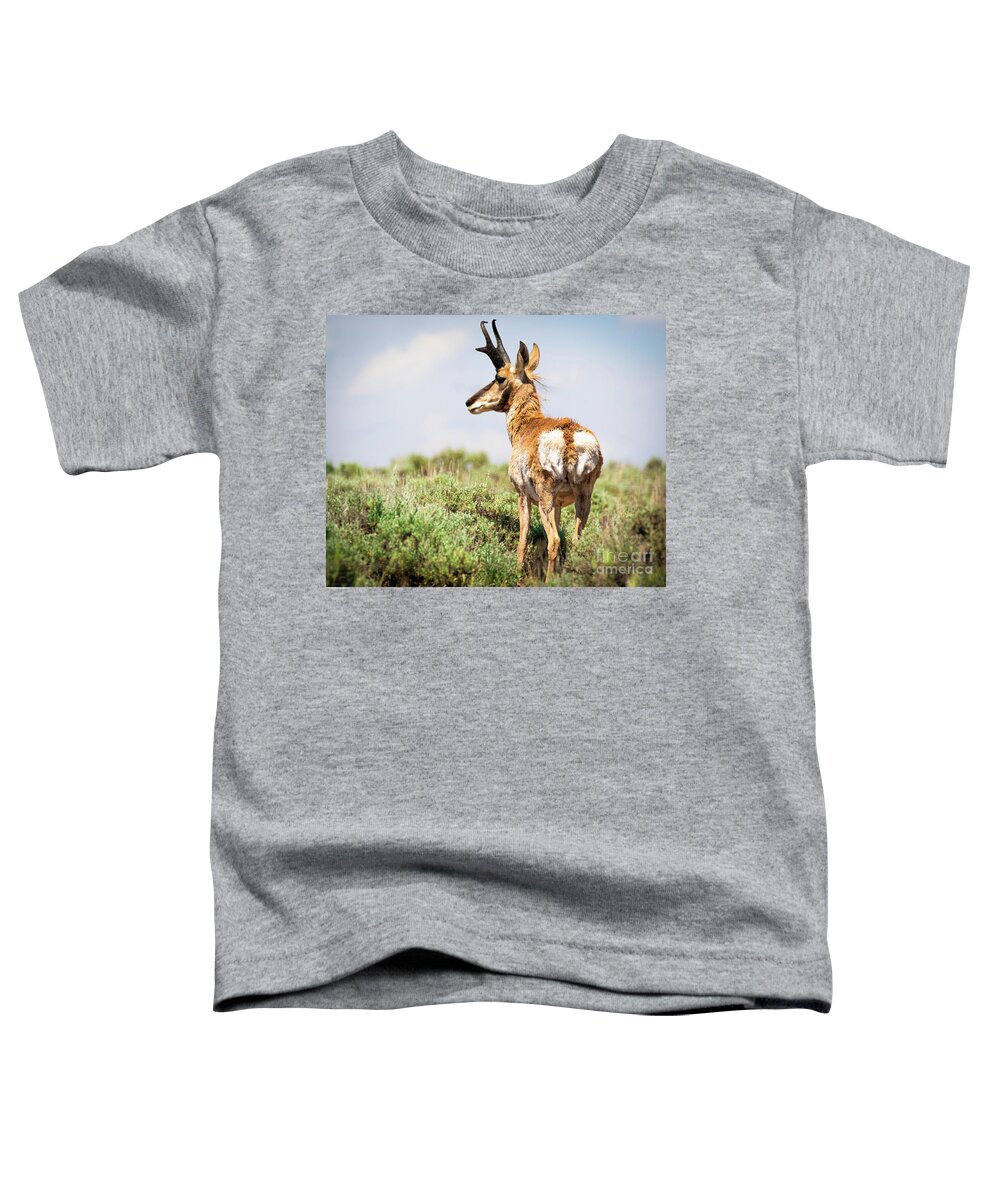 Pronghorn Toddler T-Shirt featuring the photograph Pronghorn by Vincent Bonafede