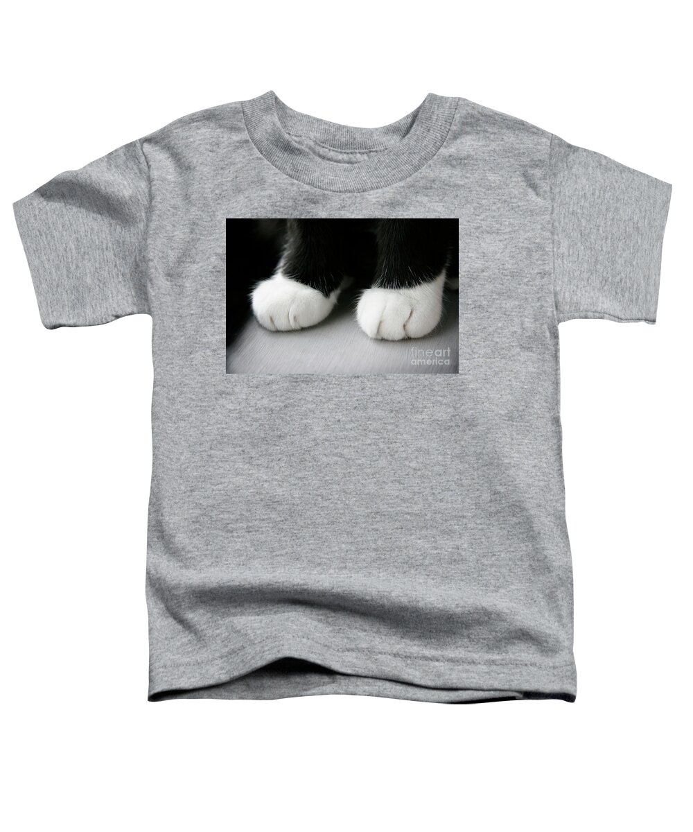 Cats Toddler T-Shirt featuring the photograph Purrrrfect Boots by Renee Spade Photography