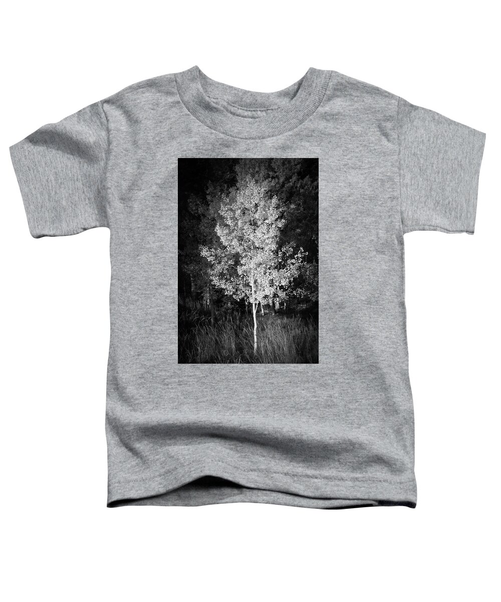 10k Trail Toddler T-Shirt featuring the photograph Quaking Aspen by Maresa Pryor-Luzier