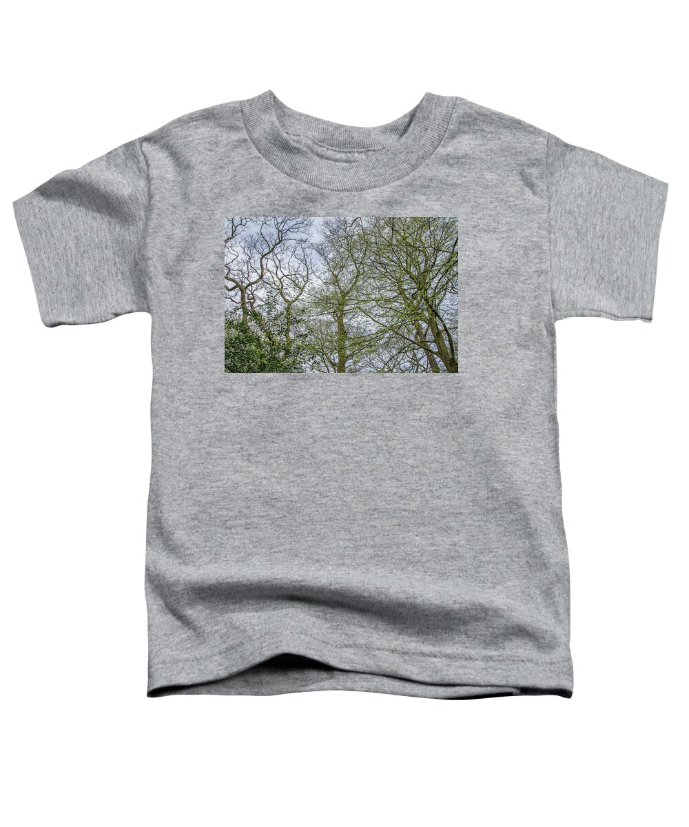 Queen's Wood Toddler T-Shirt featuring the photograph Queen's Wood Trees Spring 1 by Edmund Peston