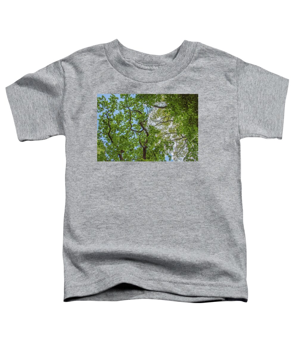 Queen's Wood Toddler T-Shirt featuring the photograph Queen's Wood Trees Spring 4 by Edmund Peston