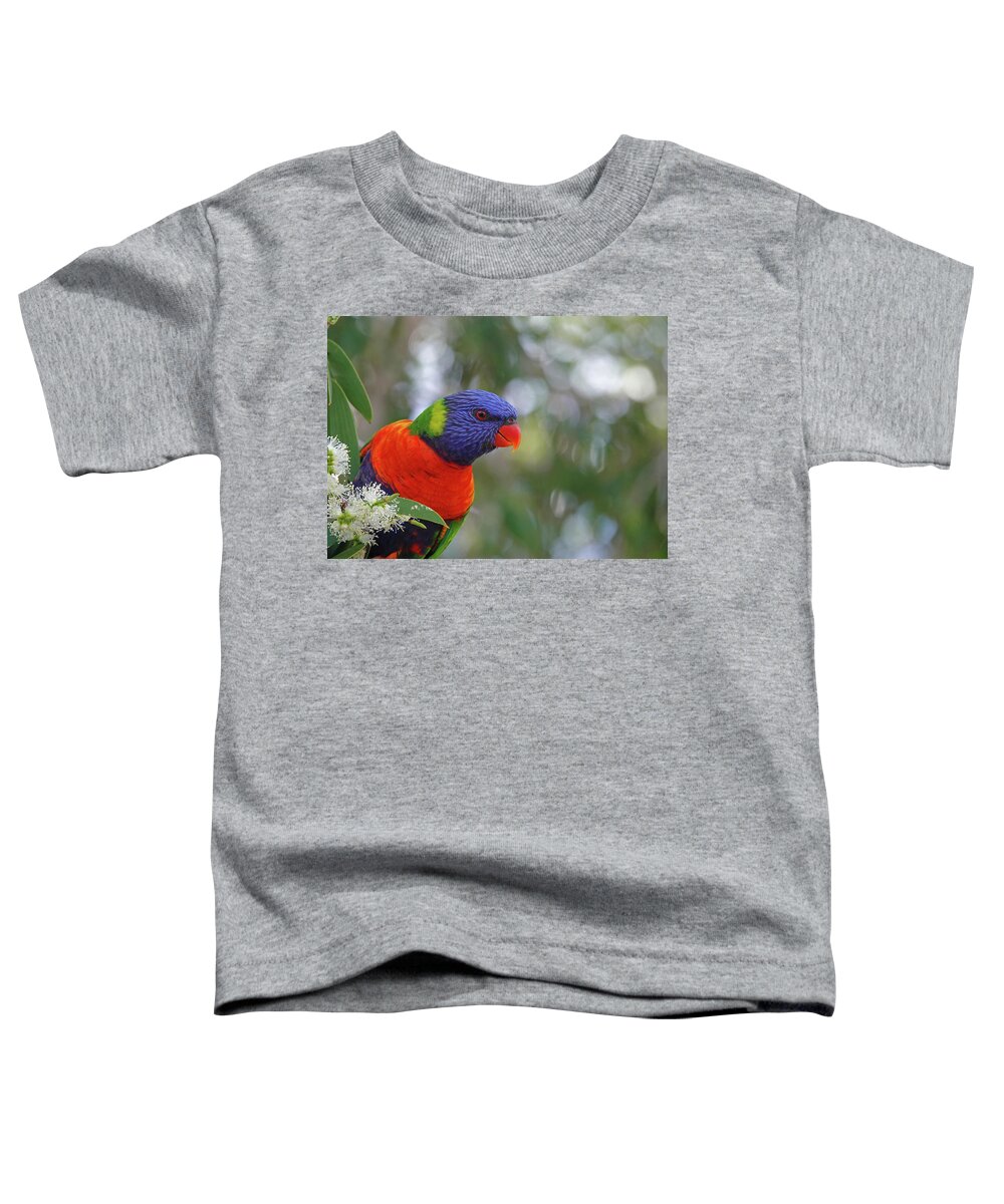 Animals Toddler T-Shirt featuring the photograph Rainbow Lorikeet by Maryse Jansen