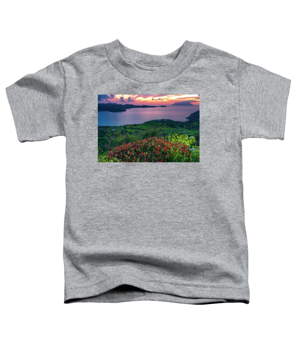 Aegean Sea Toddler T-Shirt featuring the photograph Red Flowers Of Milos by Evgeni Dinev