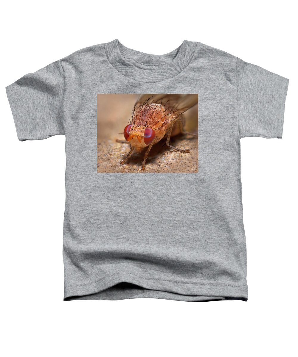 Tiny Fly Toddler T-Shirt featuring the photograph Red Fly Number 4 by Endre Balogh