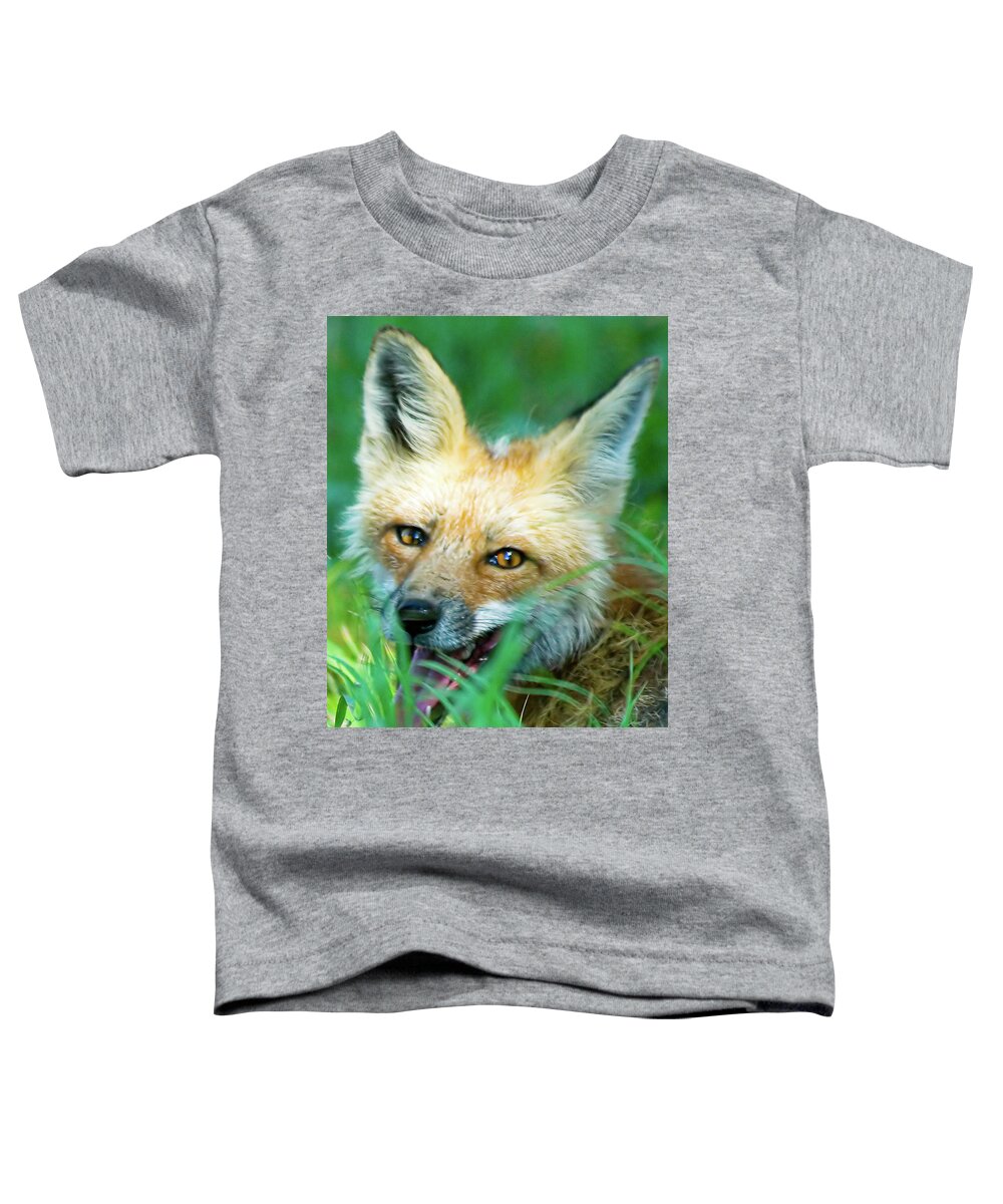 Red Fox Toddler T-Shirt featuring the photograph Red Fox by Gary Beeler