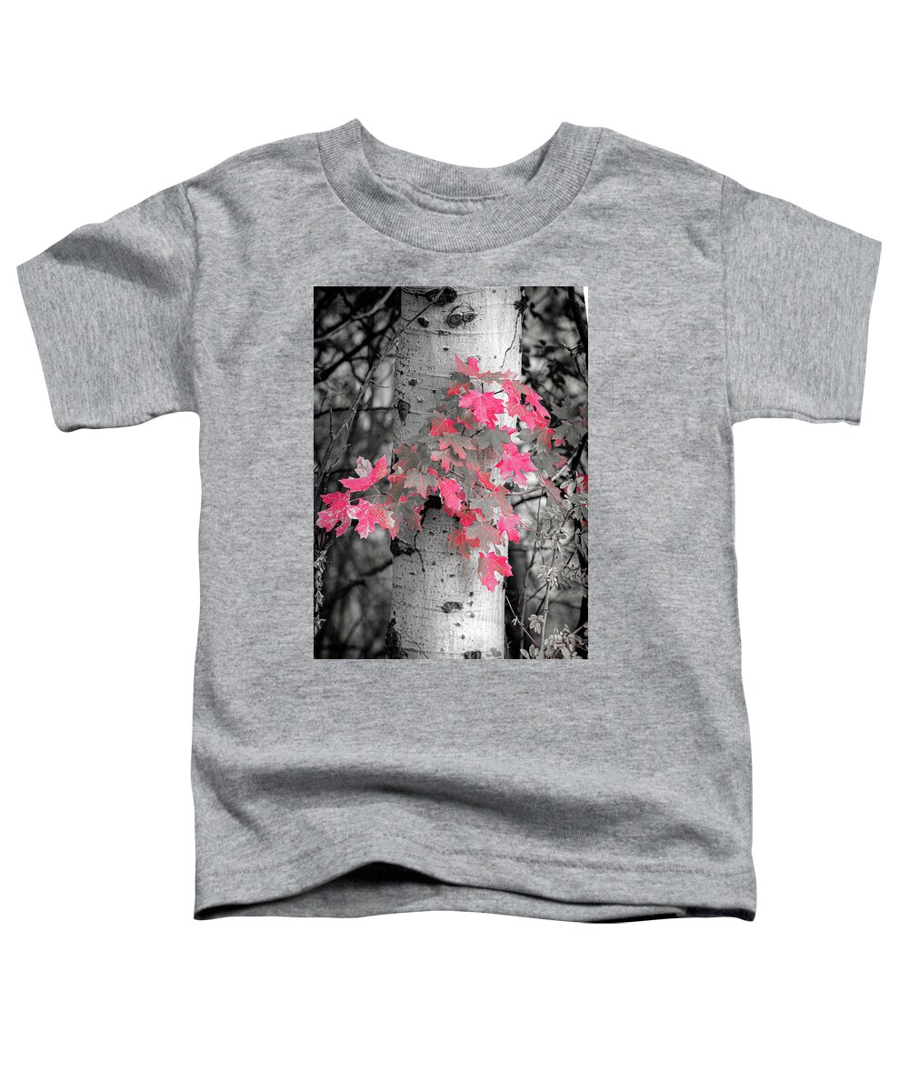  Toddler T-Shirt featuring the photograph Reds on the Aspen by Meg Leaf