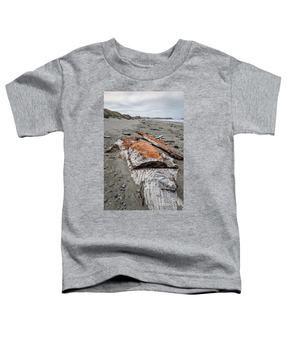 Afternoon Toddler T-Shirt featuring the photograph Redwood Buried In Kellog Beach by Al Andersen