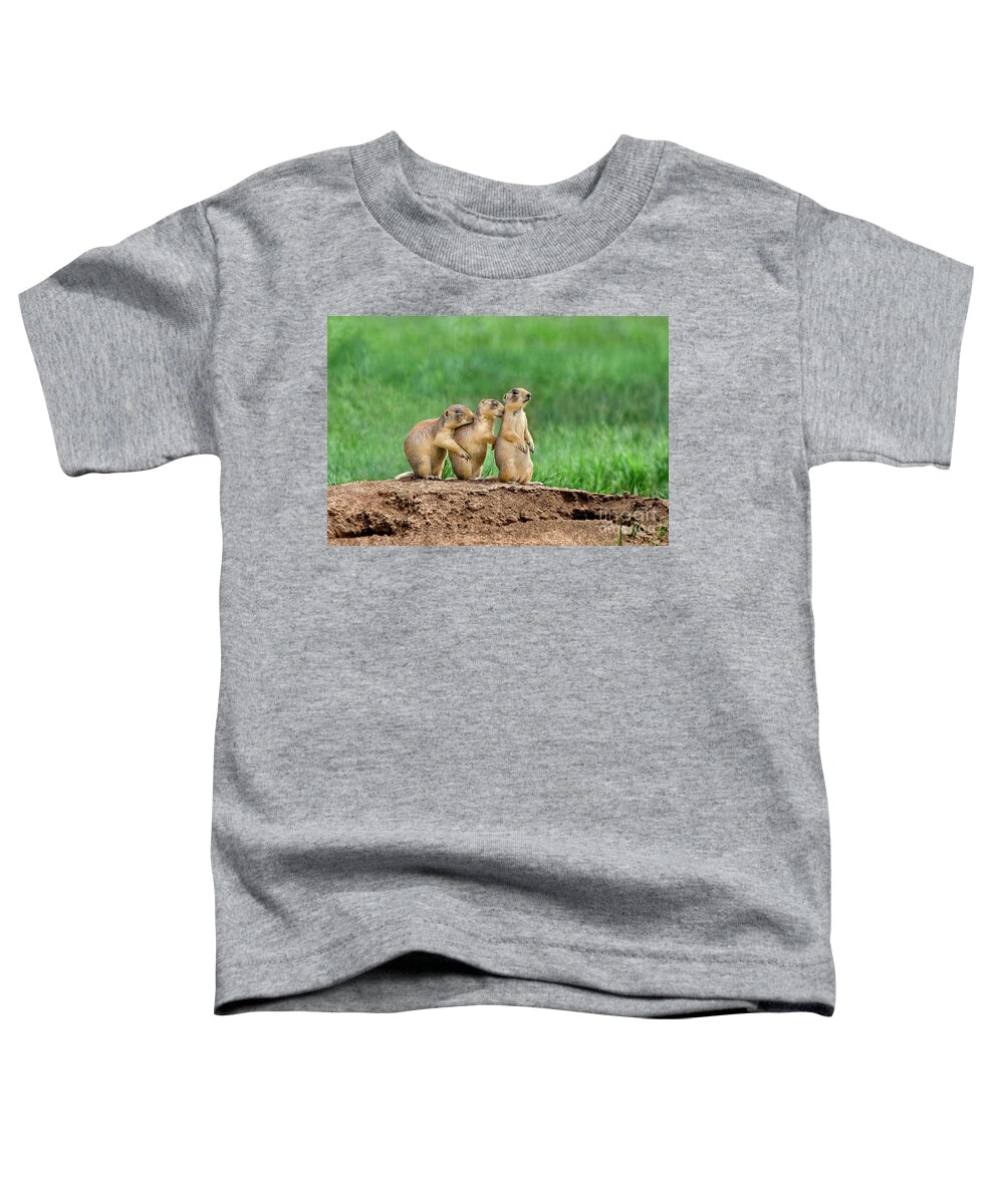 Utah Prairie Dogs Toddler T-Shirt featuring the photograph Relaxing Utah Prairie Dogs Cynomys Parvidens Wild Utah by Dave Welling