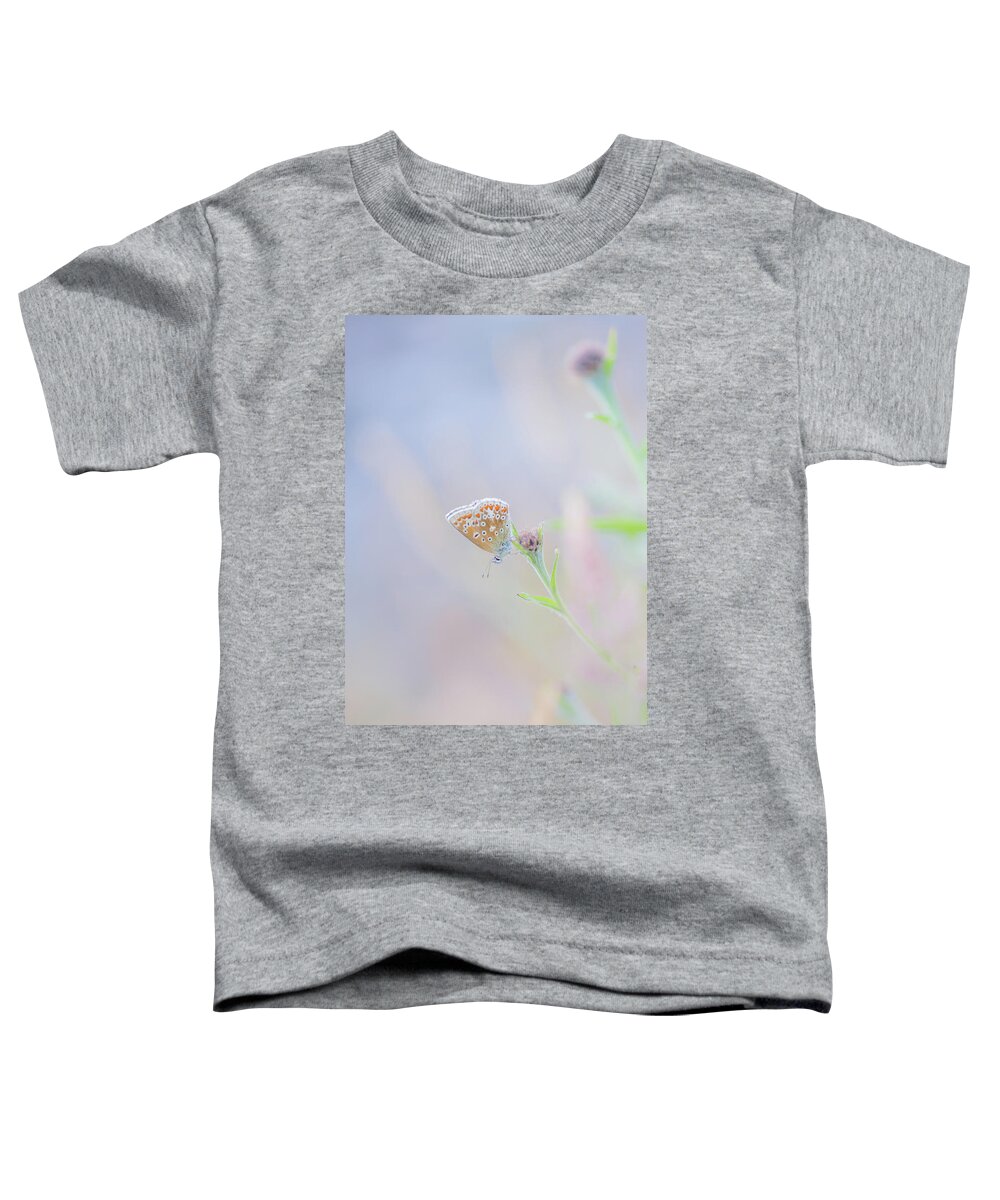 Butterfly Toddler T-Shirt featuring the photograph Resting Common Blue Butterfly by Anita Nicholson