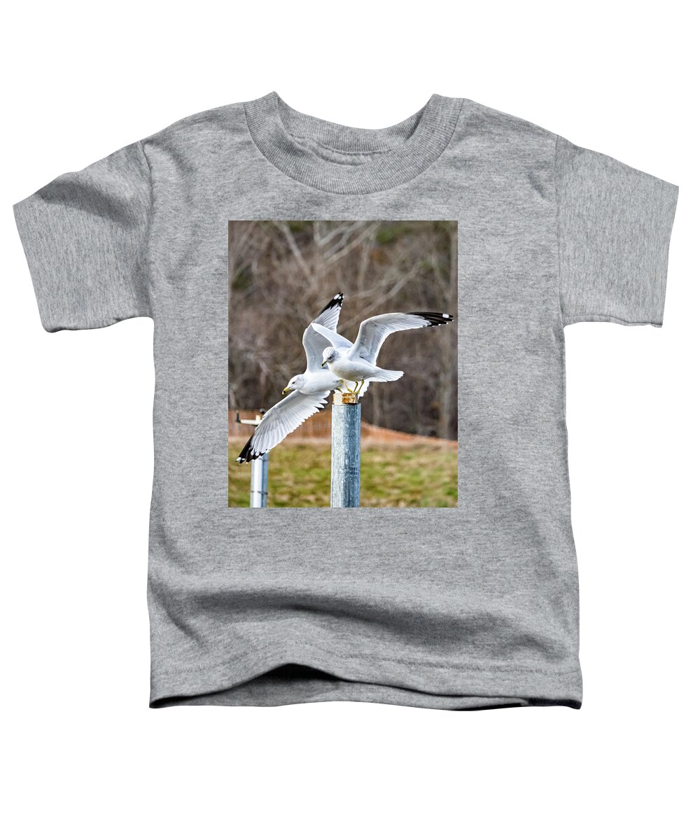 Bird Toddler T-Shirt featuring the photograph Ring-billed Gulls by Rick Nelson