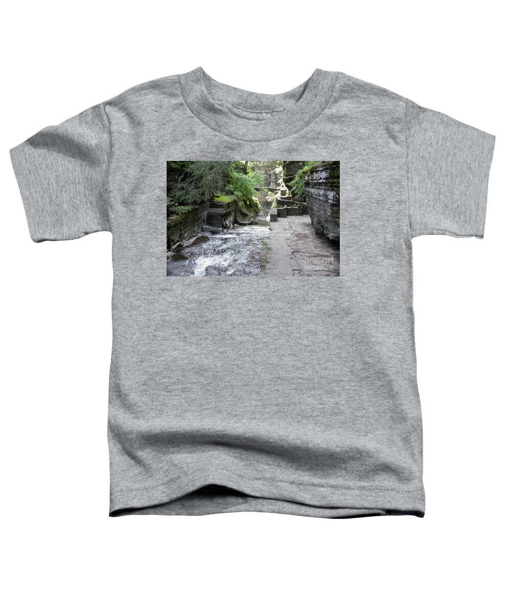 Robert Treman State Park Toddler T-Shirt featuring the photograph Robert Treman State Park 30 by William Norton