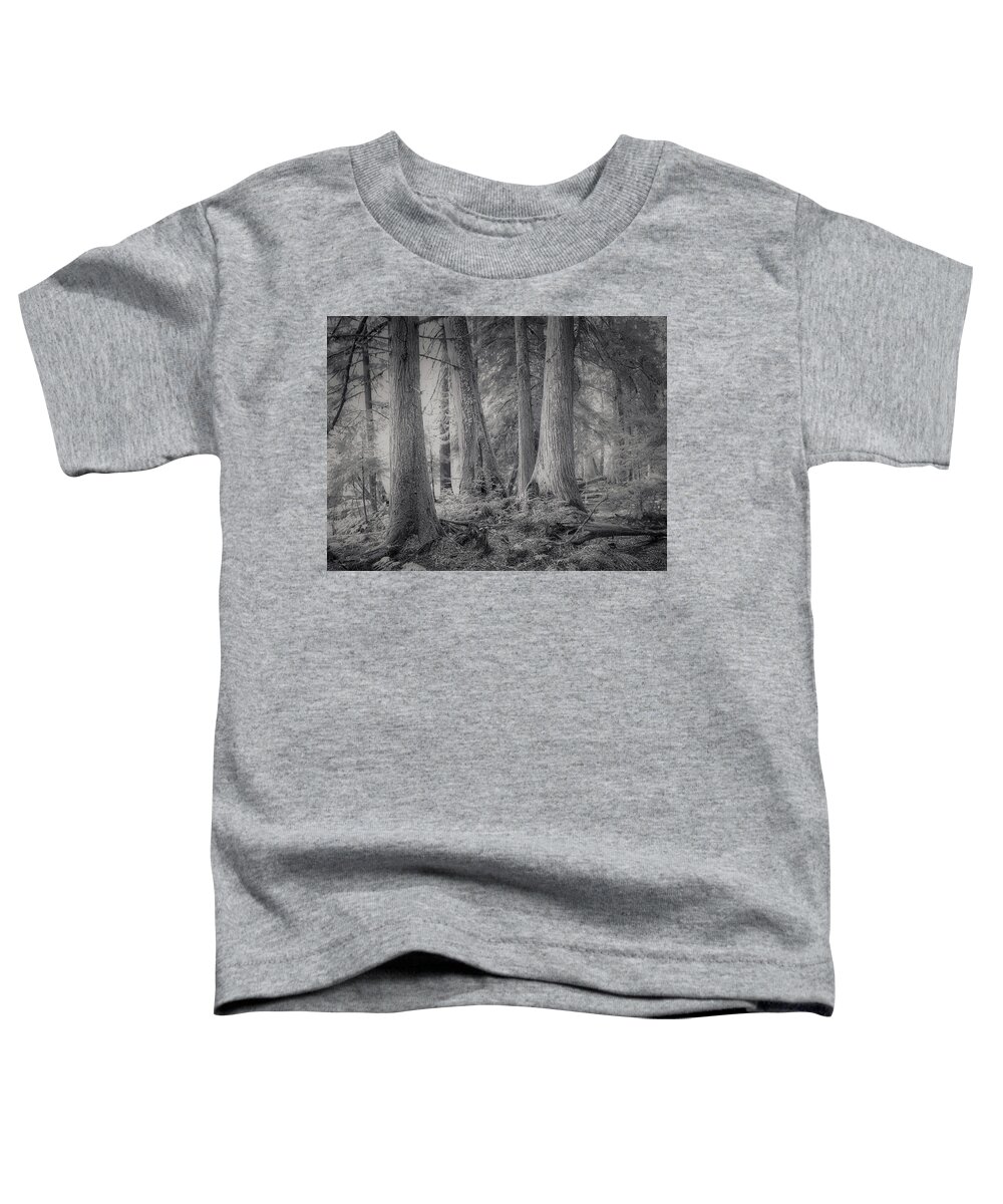 Roosevelt Grove Toddler T-Shirt featuring the photograph Roosevelt Grove by Dan Eskelson