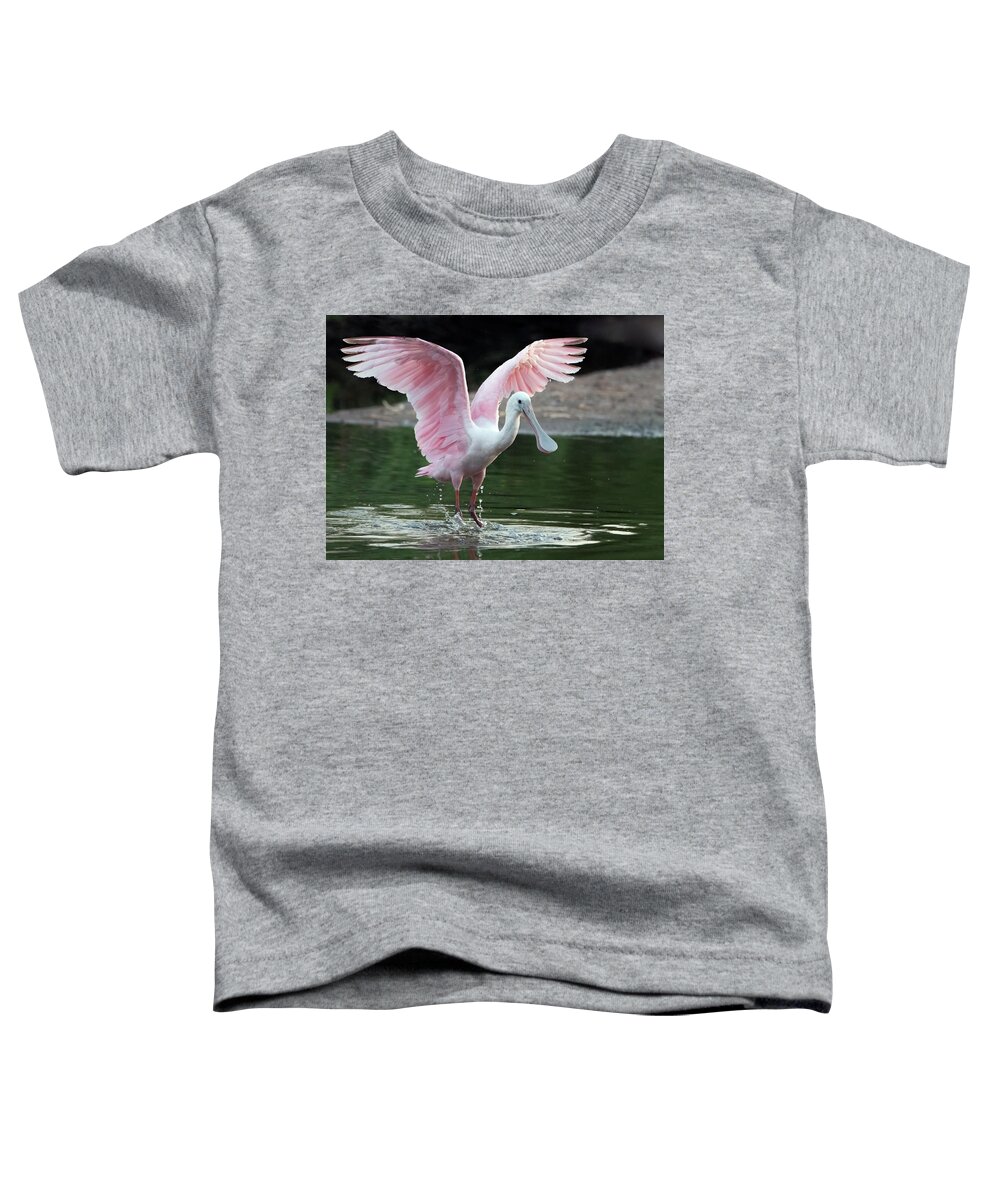 Roseate Spoonbill Toddler T-Shirt featuring the photograph Roseate Spoonbill 0380-062921-2 by Tam Ryan