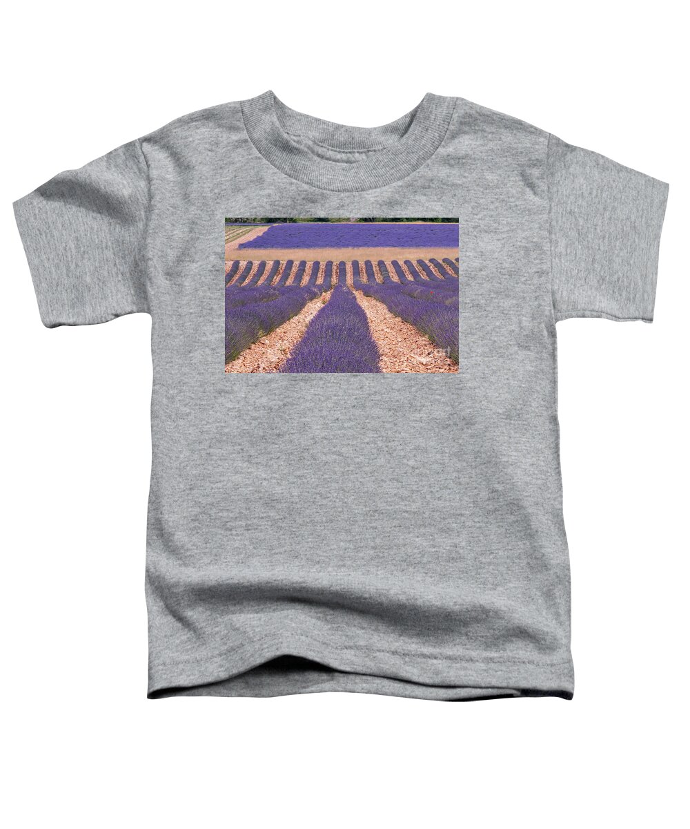 Sault Toddler T-Shirt featuring the photograph Rows of Lavender in Sault by Bob Phillips