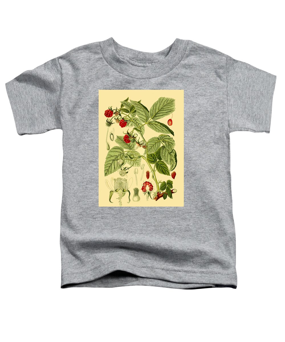 Otto Wilhelm Thome Toddler T-Shirt featuring the drawing Rubus idaeus by Otto Wilhelm Thome