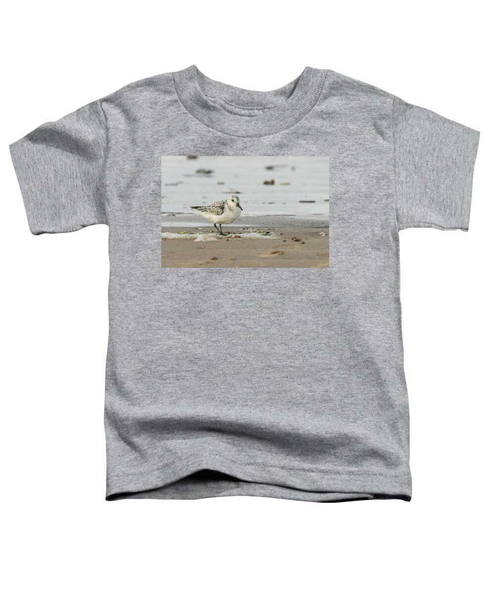 Flyladyphotographybywendycooper Toddler T-Shirt featuring the photograph Sanderling by Wendy Cooper