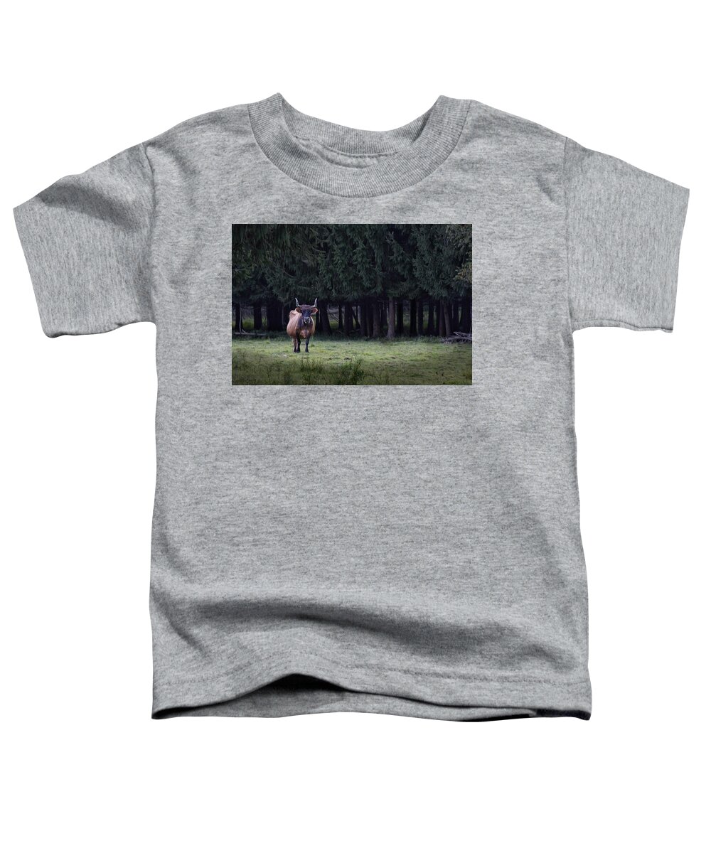 Cow Toddler T-Shirt featuring the photograph Scruffy by Mark Fuller