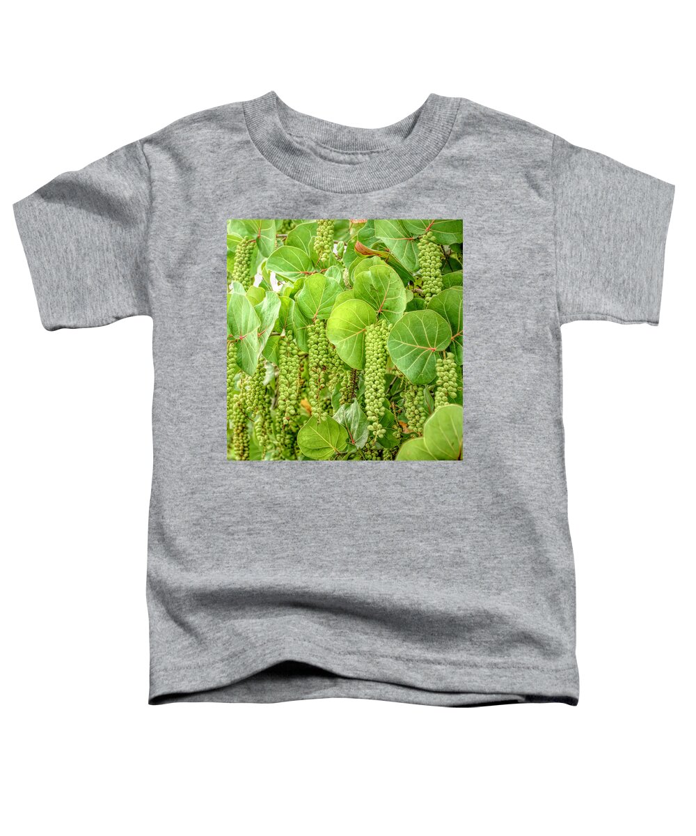 Coccoloba Uvifera Toddler T-Shirt featuring the photograph Sea Grape by Alison Belsan Horton