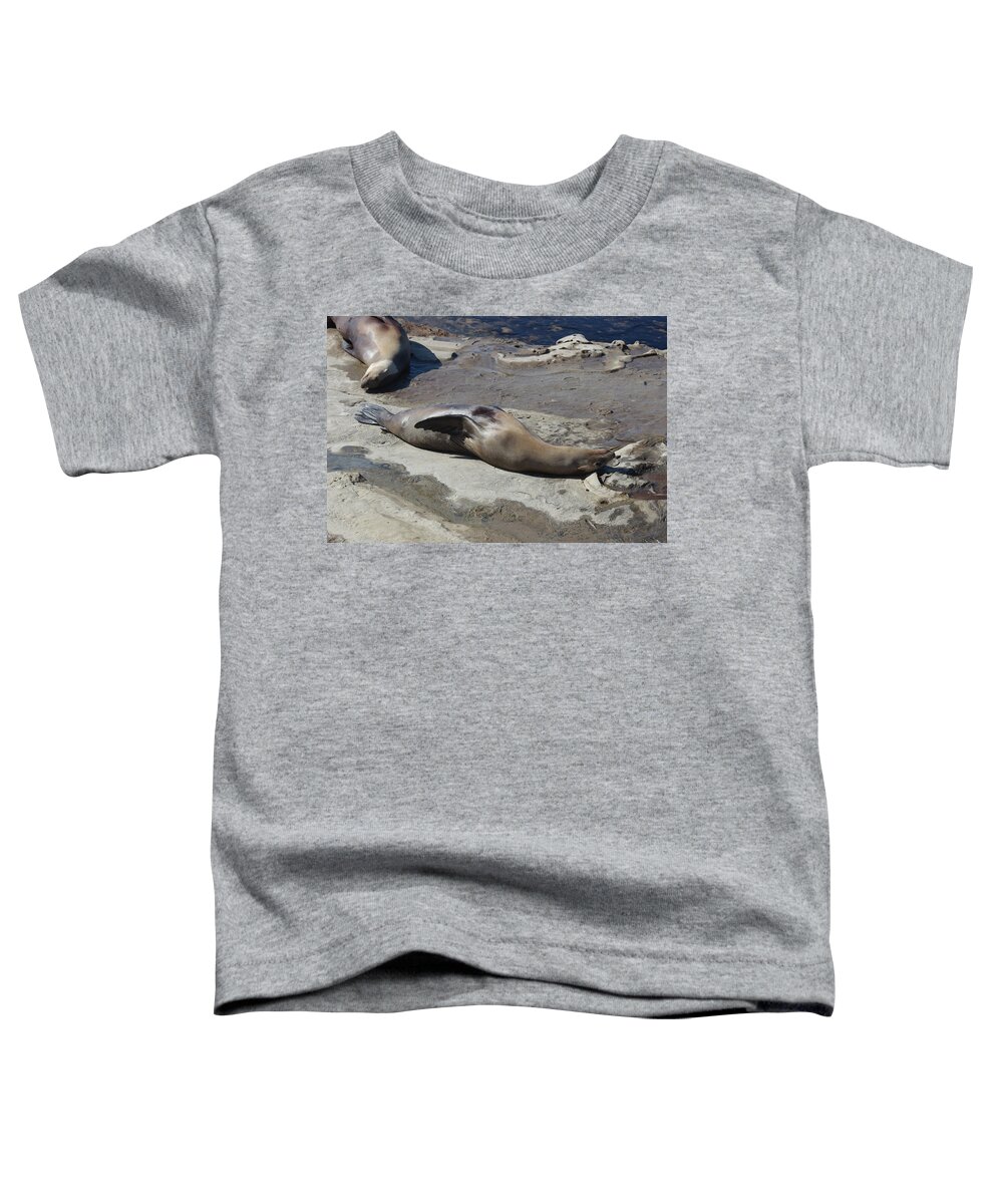 Sea Lions Toddler T-Shirt featuring the photograph Sea Lions in the Sun by Cathy Anderson