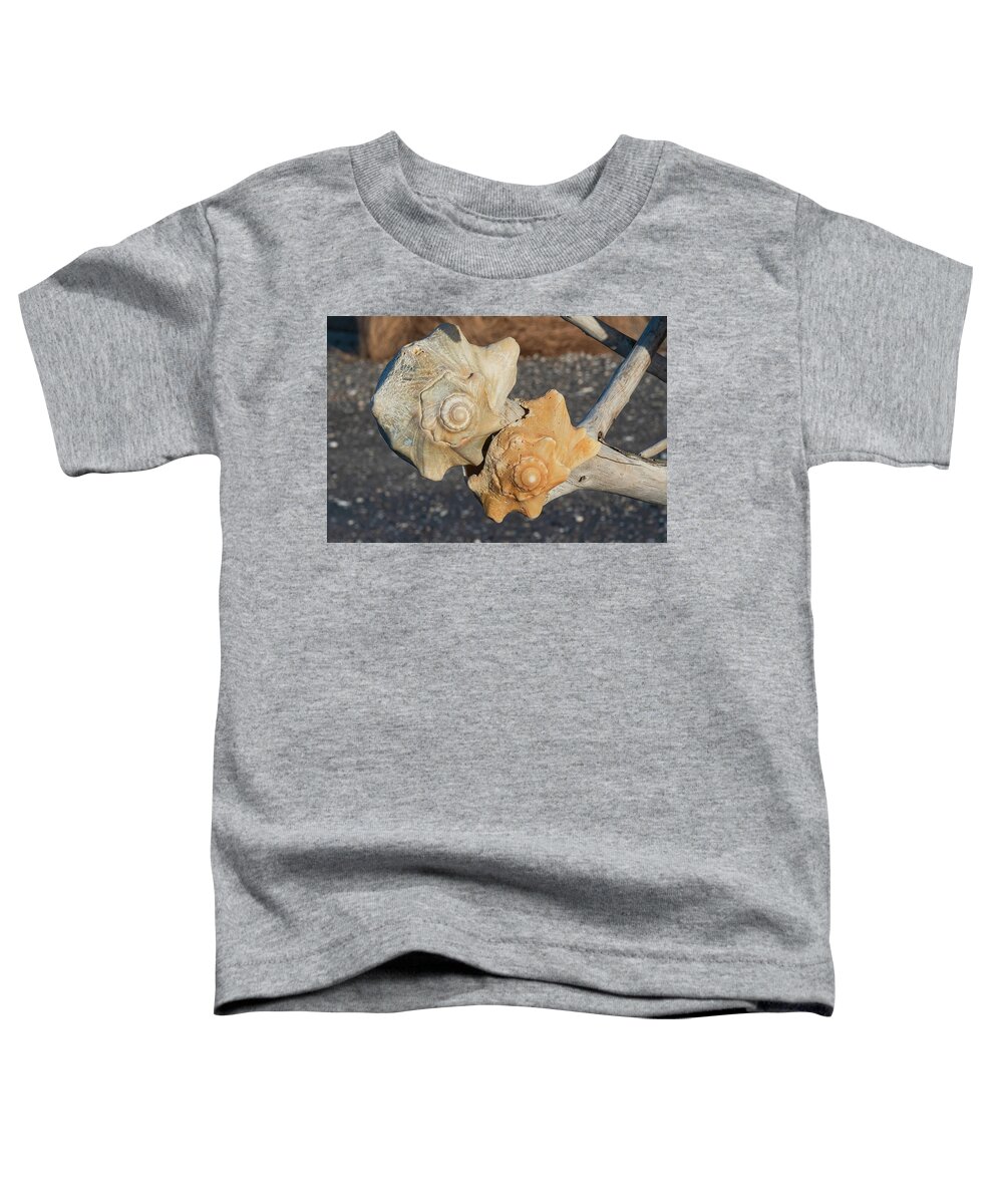 Seashell Toddler T-Shirt featuring the photograph Seashell-1 by John Kirkland