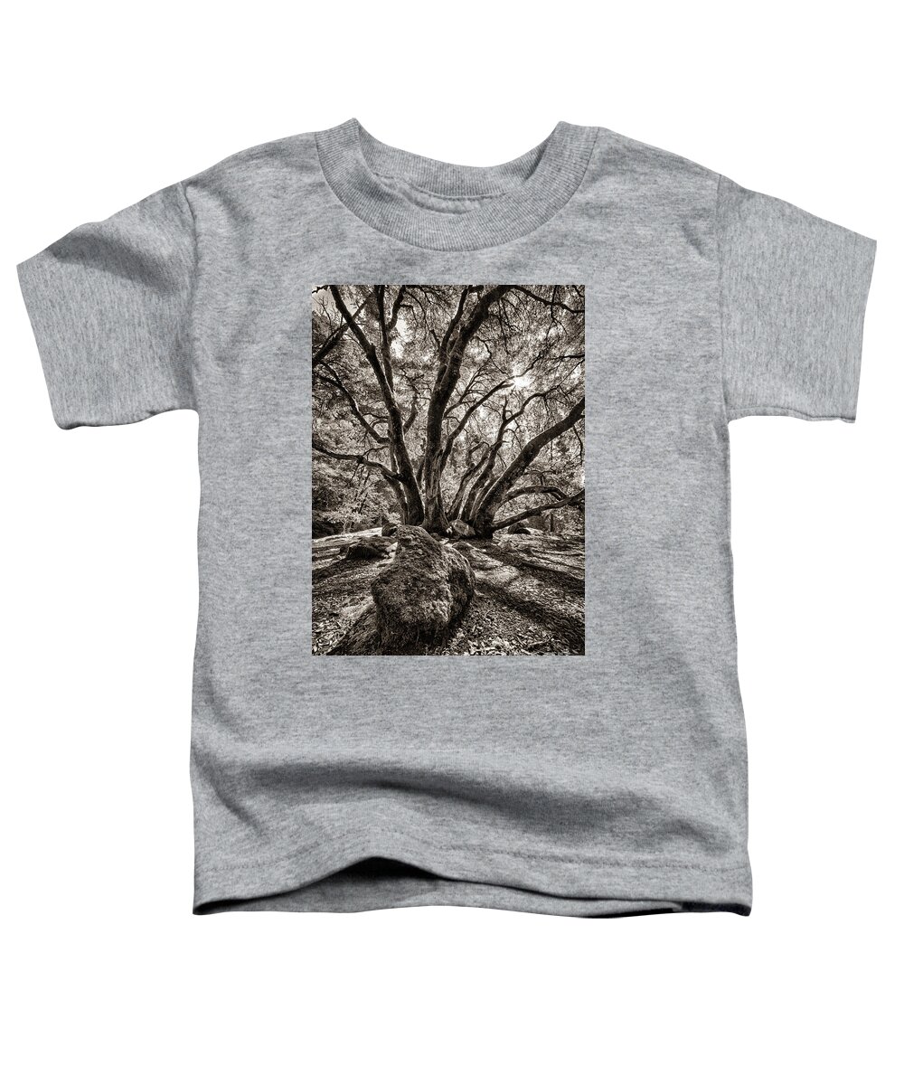  Toddler T-Shirt featuring the photograph Shadow Tree by Vincent Bonafede