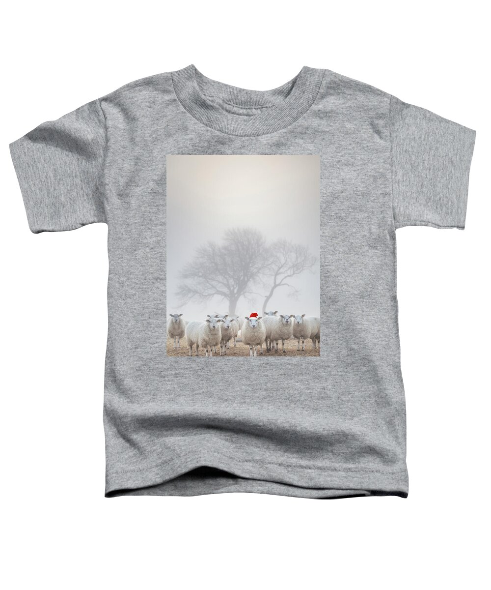 Sheep Toddler T-Shirt featuring the photograph Sheep in the mist - Christmas Greeting by Anita Nicholson