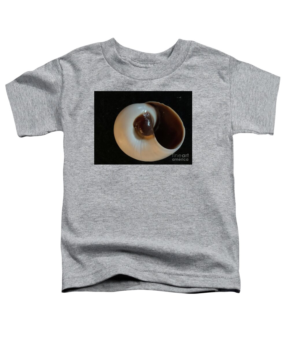 Edisto Beach Toddler T-Shirt featuring the photograph Shell Inside Out by Catherine Wilson