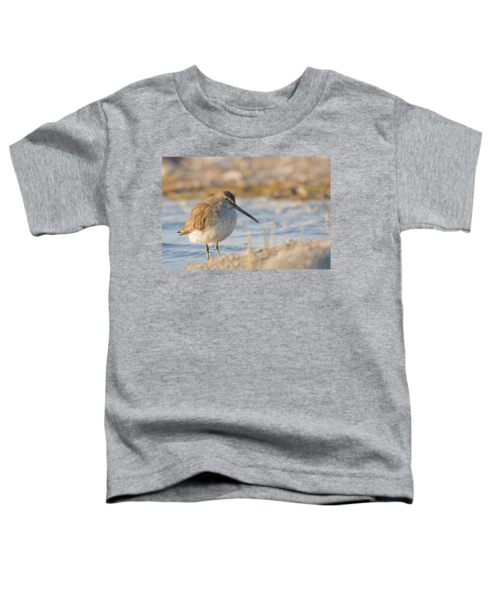 Shore Bird Toddler T-Shirt featuring the photograph Shore Bird Along the NC Coast by Bob Decker
