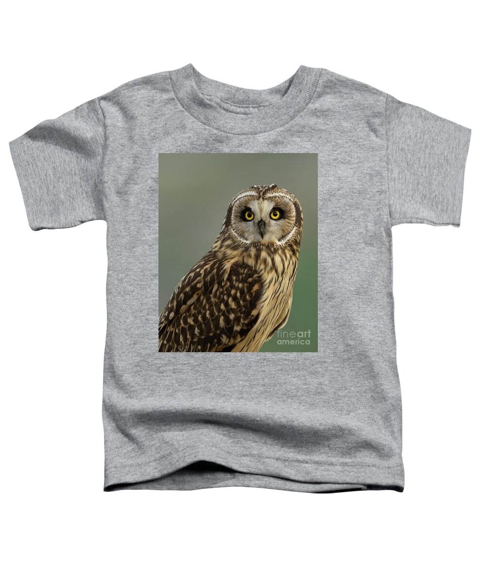 Asio Flammeus Toddler T-Shirt featuring the photograph Short-eared Owl Portrait #1 by Nancy Gleason