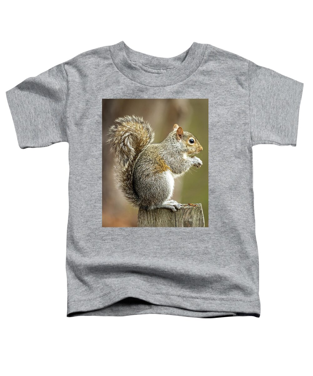 Squirrel Toddler T-Shirt featuring the photograph Snack Time by Rick Nelson