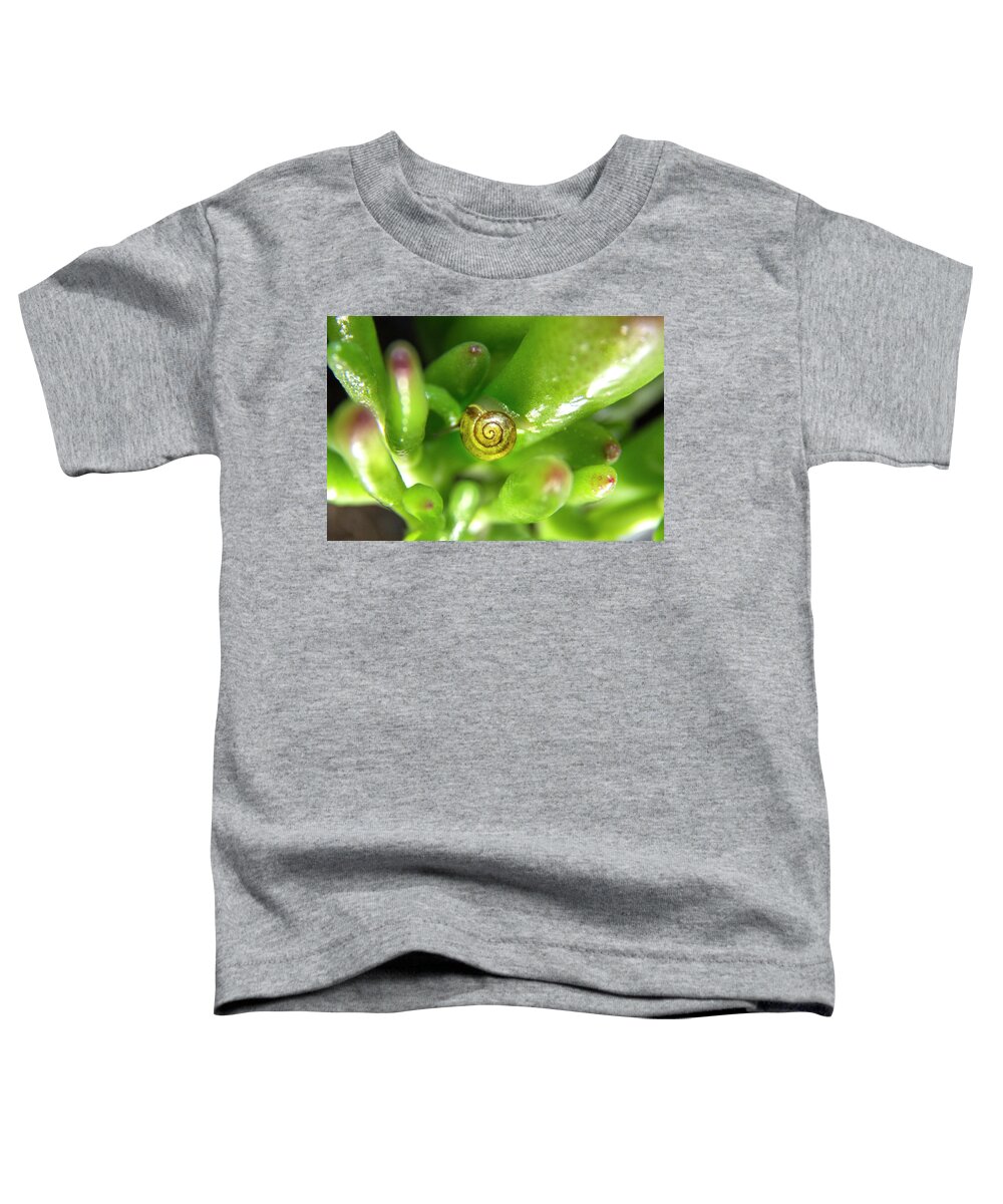 Snail Toddler T-Shirt featuring the photograph Snail art by MPhotographer