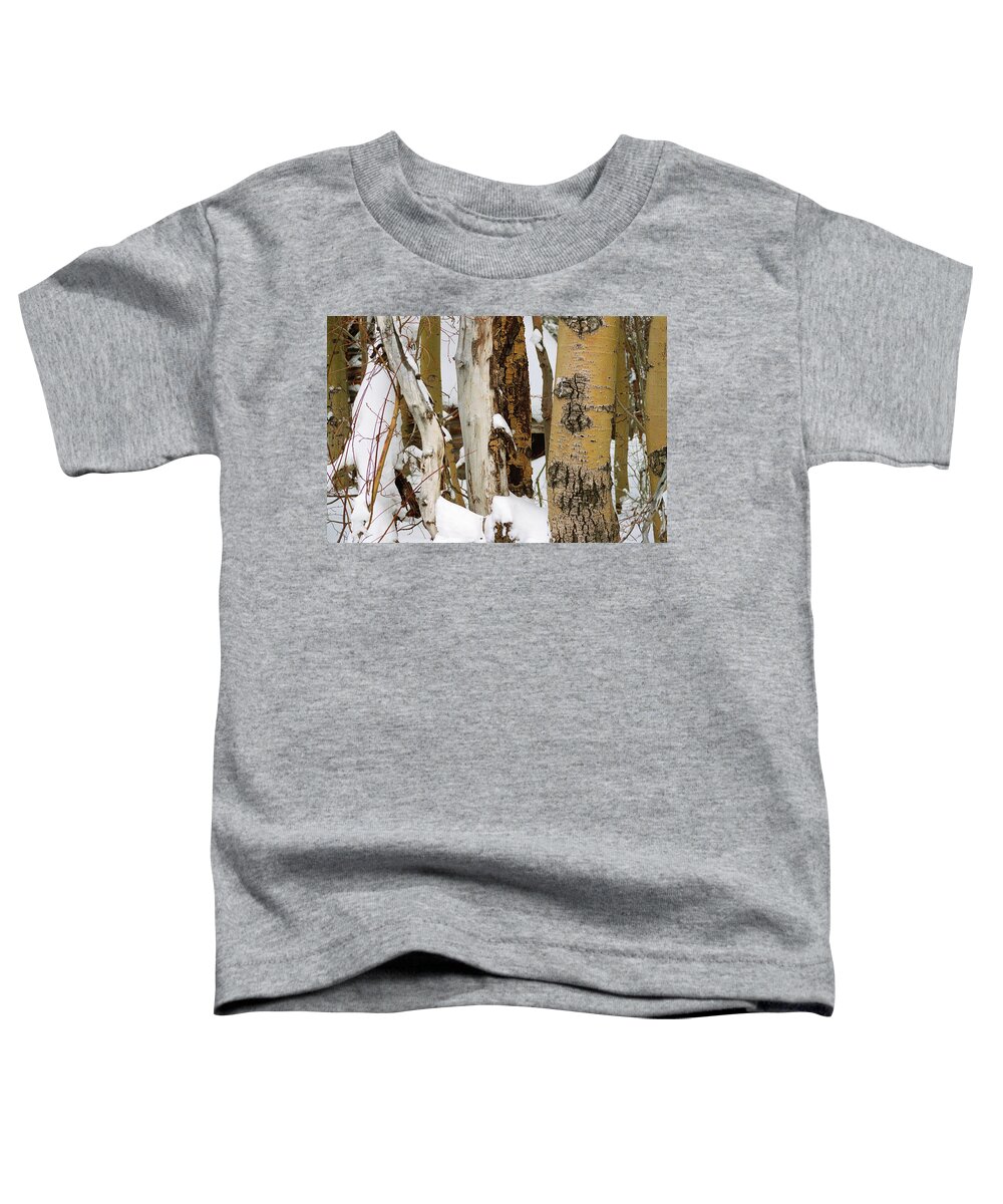 Snow Toddler T-Shirt featuring the photograph Snow Covered Aspen Bark, Mammoth Lakes, Californa by Bonnie Colgan