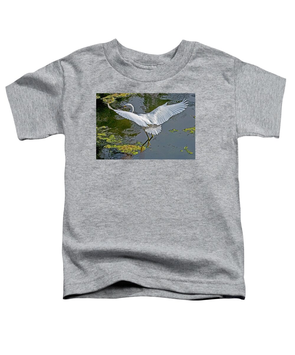  Toddler T-Shirt featuring the photograph Snowy Egret Landing #1 by Carla Brennan