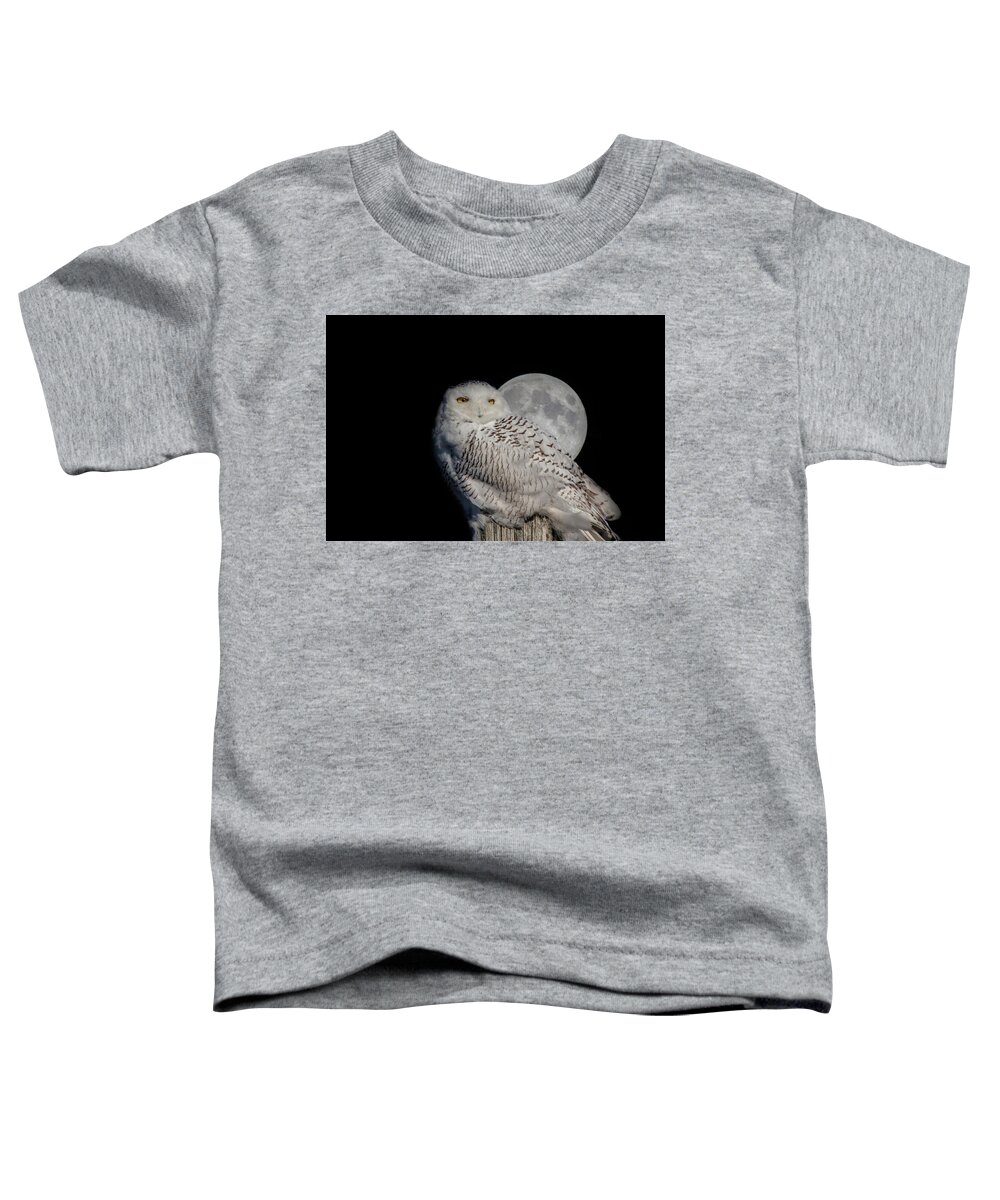 Animals Toddler T-Shirt featuring the photograph Snowy Owl on the Moon by Jeff Folger