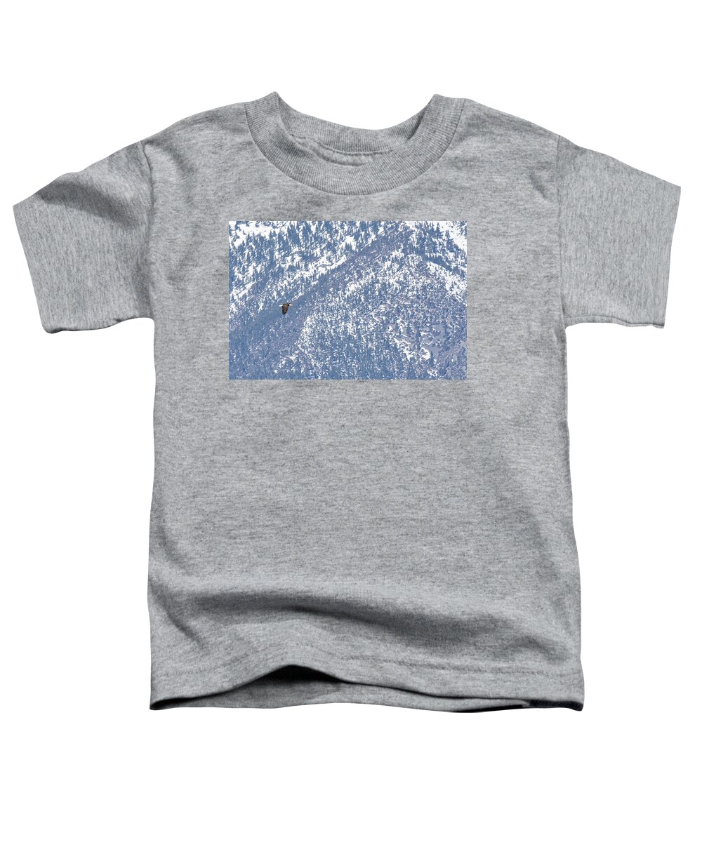Eagle Toddler T-Shirt featuring the photograph Soar by Steph Gabler