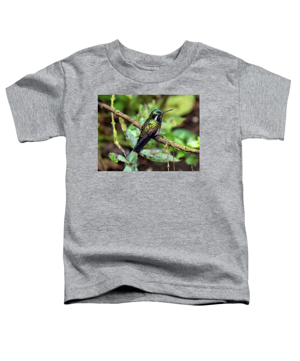 Birds Toddler T-Shirt featuring the photograph Soft Landing by Leslie Struxness