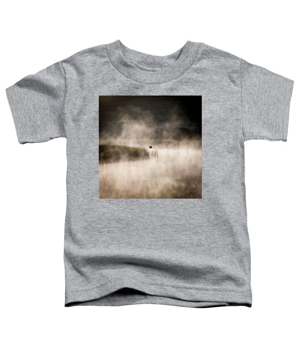 Solo Bird Toddler T-Shirt featuring the photograph Solo bird, morning mist by Donald Kinney