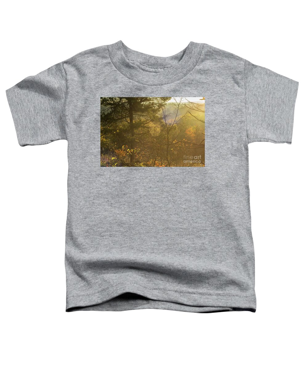 Spiderweb Toddler T-Shirt featuring the photograph Spiderweb Forest Sunrise by Jennifer White