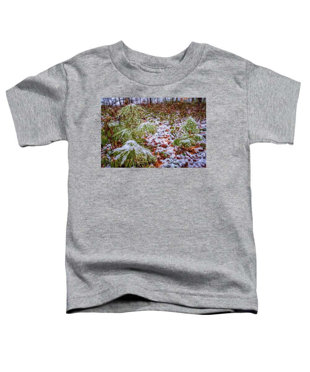 New Hampshire Toddler T-Shirt featuring the photograph Spring Snow by Jeff Sinon