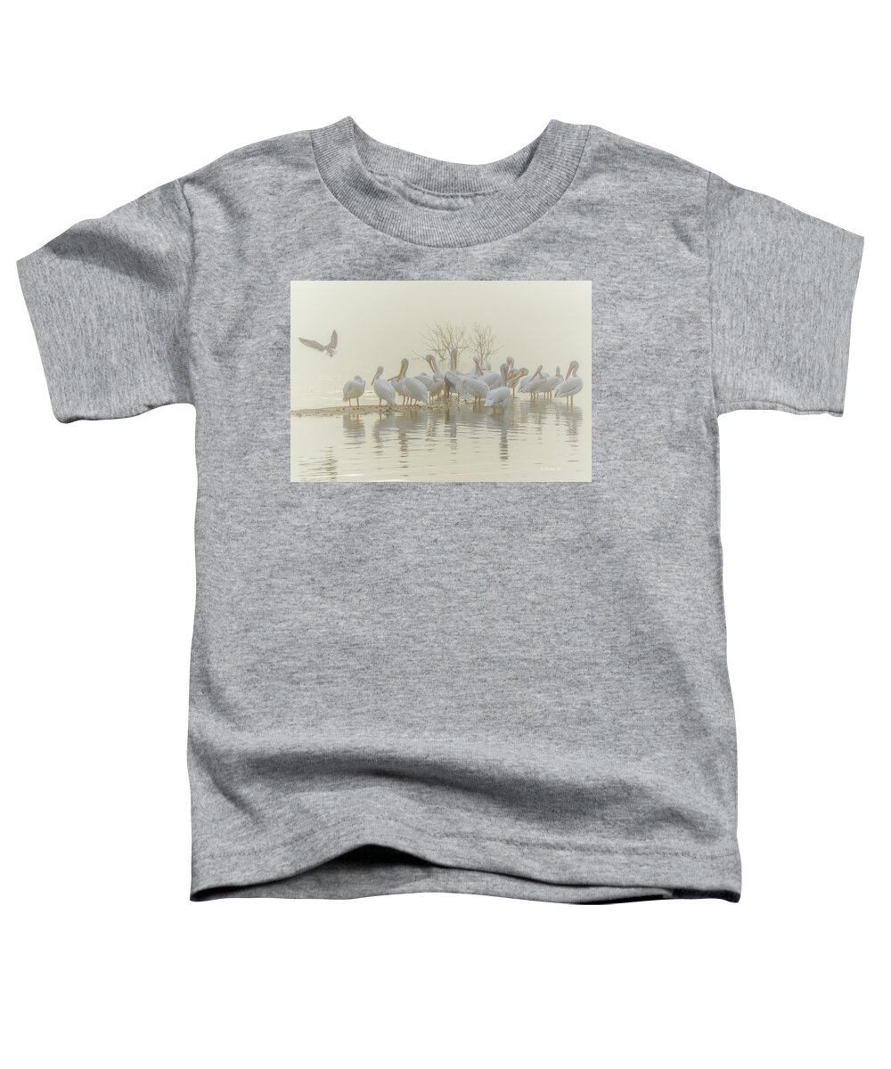 White Toddler T-Shirt featuring the photograph Squadron in the Fog by Christopher Rice